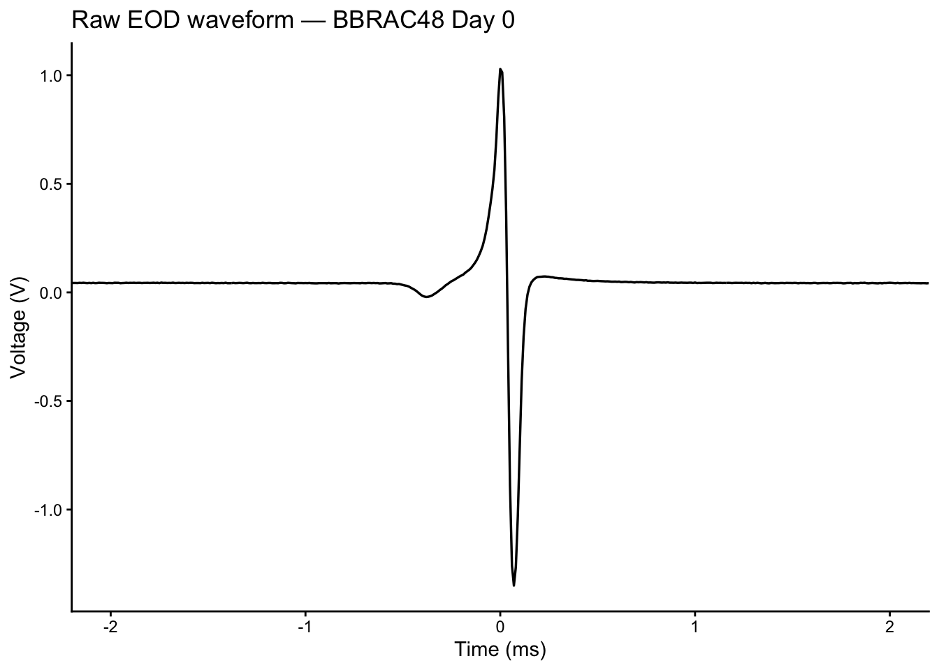 Line plot of a single EOD waveform showing voltage in volts on the y-axis and time in milliseconds on the x-axis. The waveform has a characteristic biphasic shape with a positive P1 peak followed by a negative P2 trough.