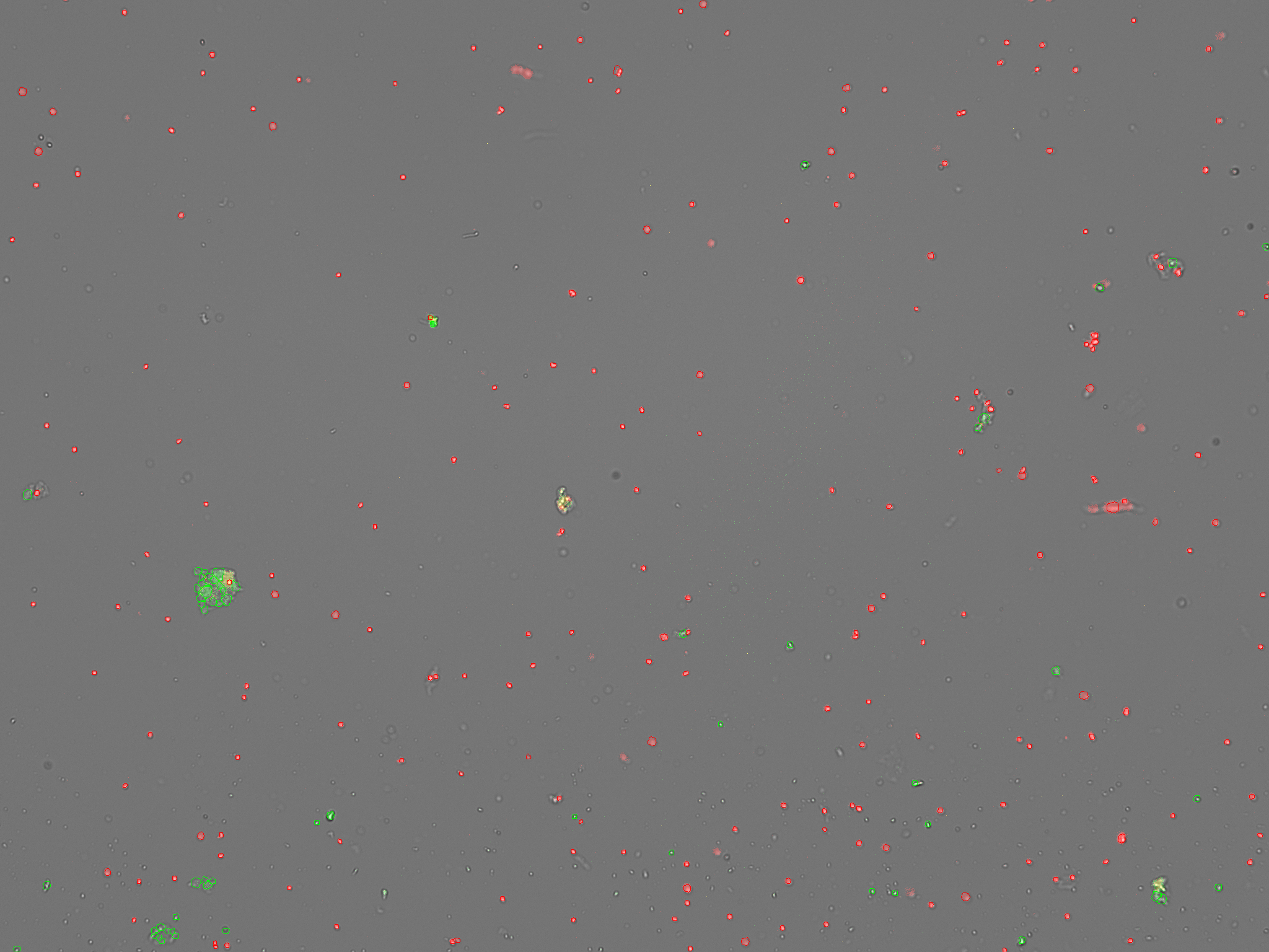 Fluorescence micrograph of a CellDrop chamber showing a dark background populated with many discrete sharp-edged red dots (PI-stained nuclei), a small number of green dots (AO-stained intact cells), and a few yellow-green aggregates.