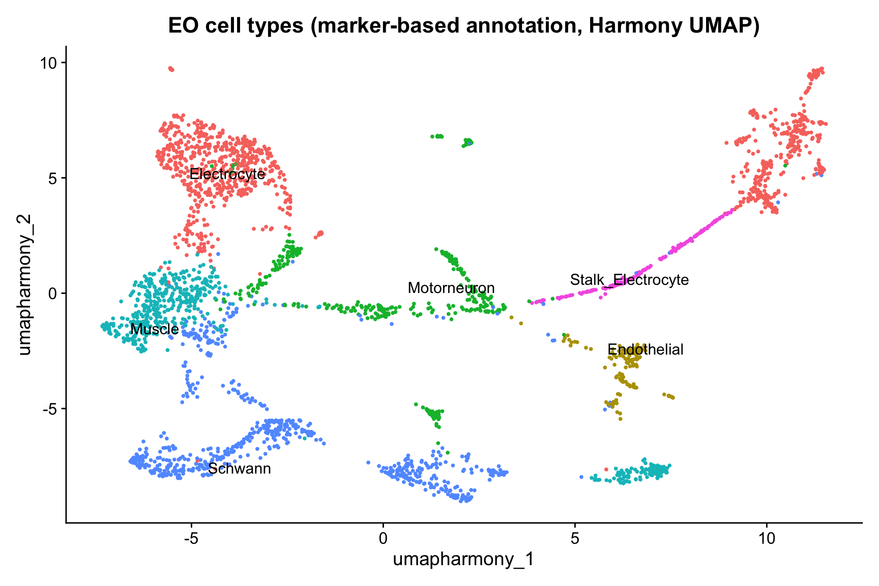 UMAP of EO nuclei on the Harmony embedding, with clusters labeled by the cell type with the highest mean marker-gene module score. Electrocyte clusters are further sub-classified into Stalk_Electrocyte (PMCA-high) and Electrocyte in the same annotation pass.