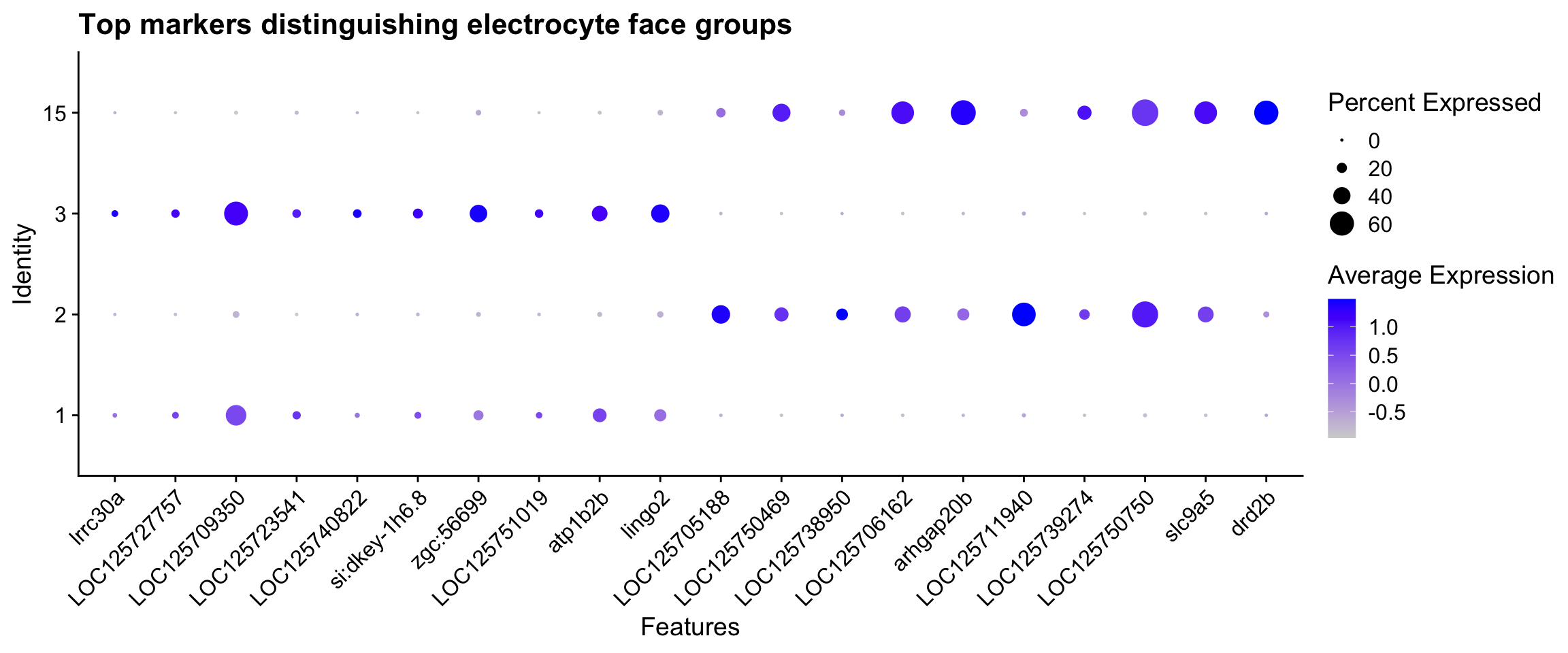 DotPlot showing the top 10 marker genes enriched in each of the two electrocyte face groups. Dot size encodes the fraction of nuclei expressing the gene; colour encodes mean scaled expression.