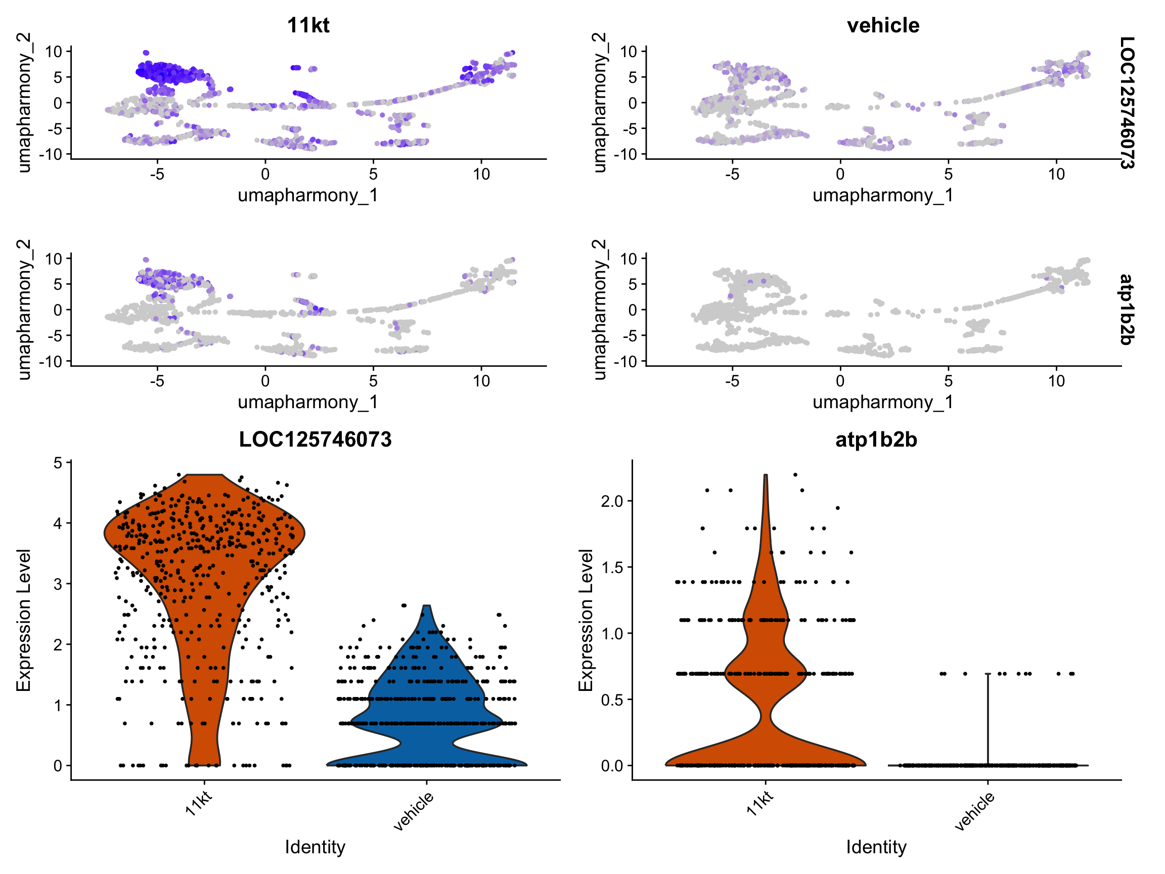 Feature plots on the Harmony UMAP showing expression of the top two concordant hormone-responsive genes split by treatment, with accompanying violin plots in electrocyte cells.