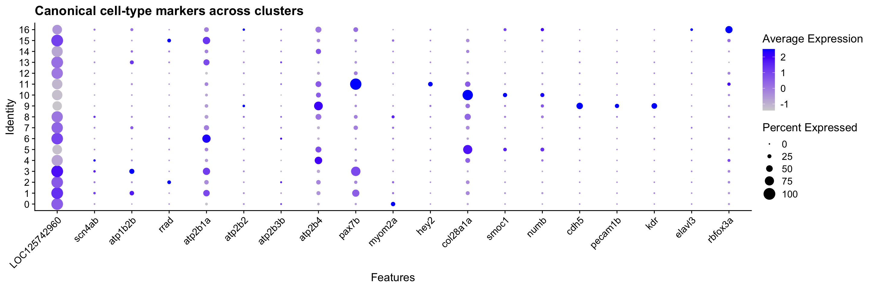 Dot plot showing expression of canonical cell-type marker genes across Seurat clusters, including PMCA stalk markers. Dot size encodes percent of cells expressing; colour encodes average expression.
