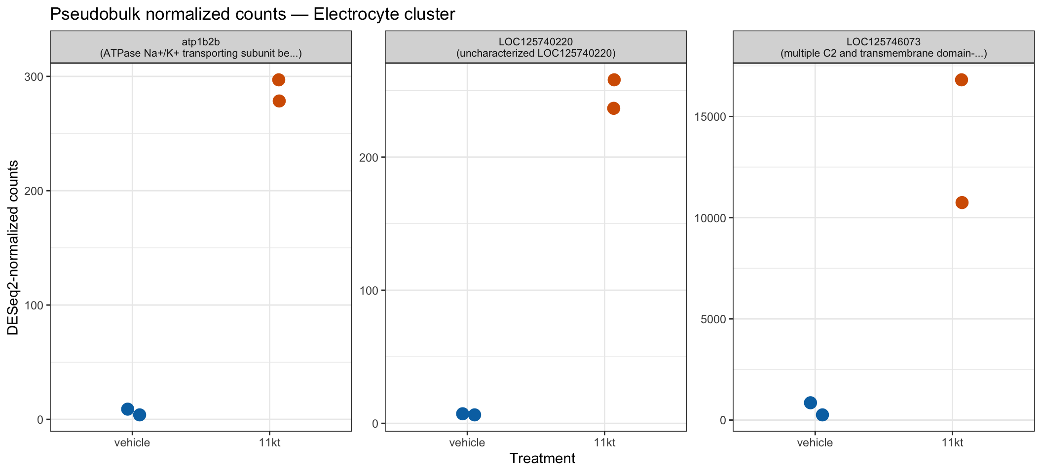 Dot plots of DESeq2 size-factor-normalized counts for the top 3 DE genes in the Electrocyte cluster, with one dot per fish colored by treatment.