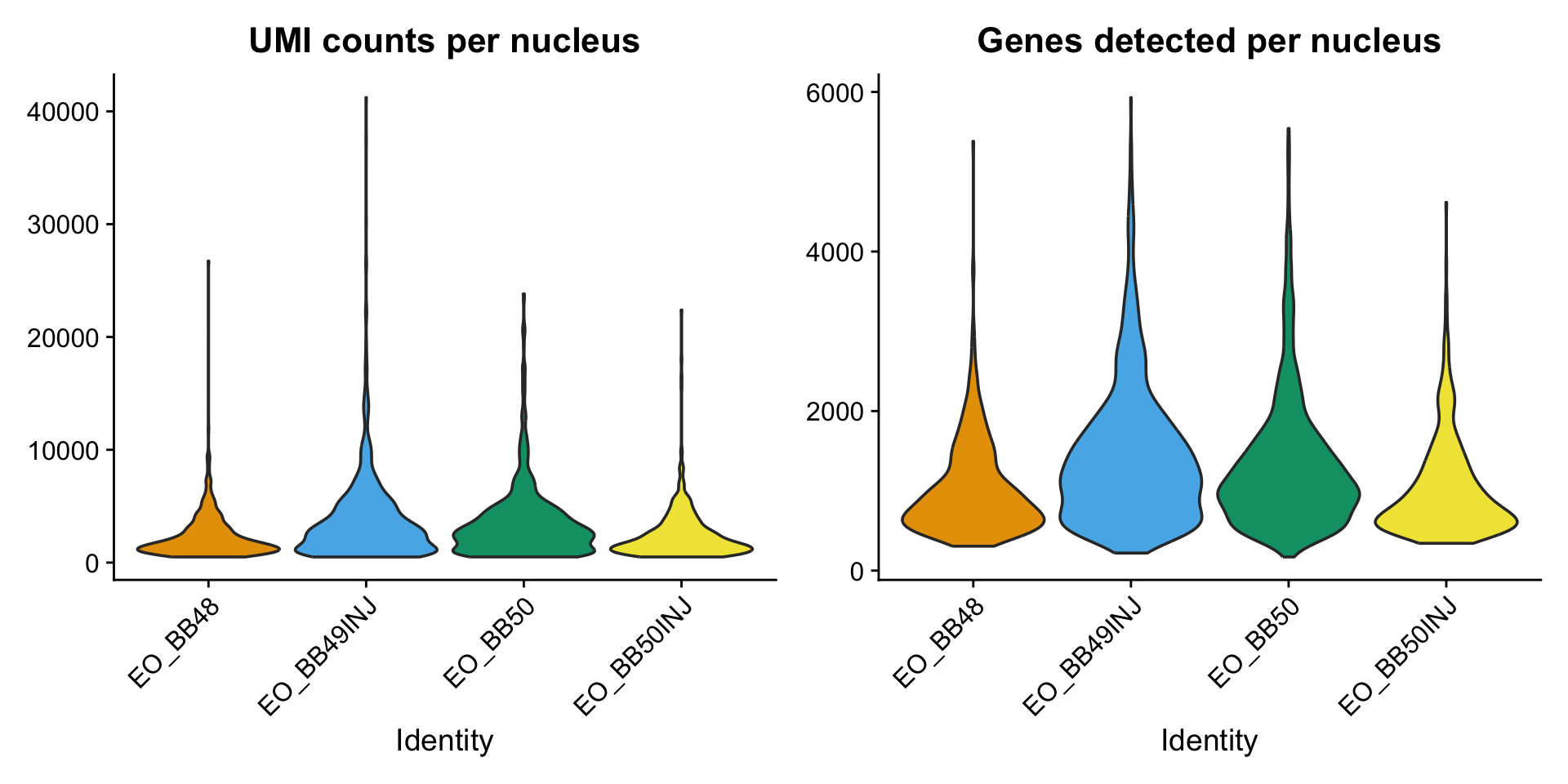 Violin plots of UMI counts and gene counts per sample in the electric organ dataset.