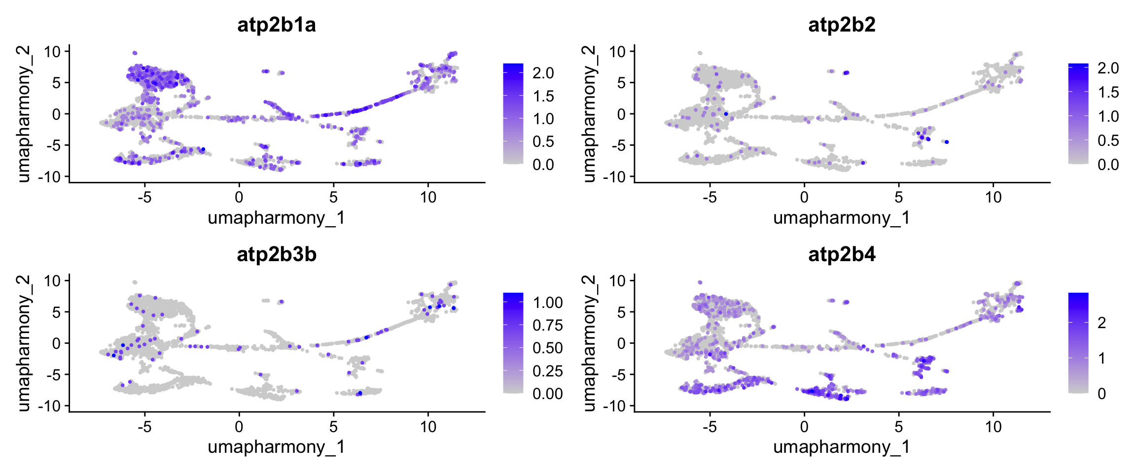 Feature plots on the Harmony UMAP showing expression of the four PMCA paralogs (atp2b1a, atp2b2, atp2b3b, atp2b4) in the electric organ dataset.