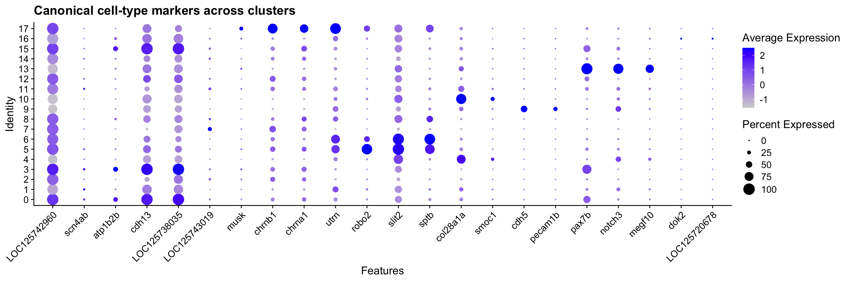 Dot plot showing curated cell-type marker gene expression across Seurat clusters, grouped by electrocyte lineage, posterior and anterior face, stalk NMJ and body, Schwann, endothelial, satellite, and immune programs.